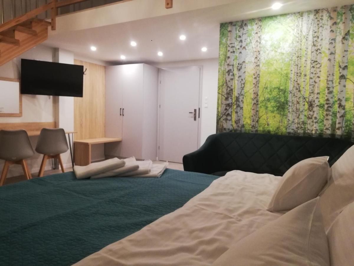U Zrodel Bed and Breakfast Wisła Εξωτερικό φωτογραφία